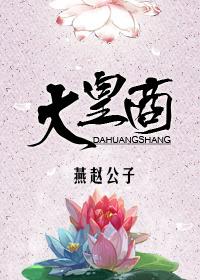大皇商剧透