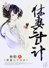 休妻实录免费阅读无弹窗