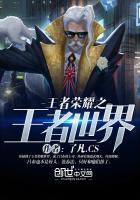 王者荣耀之王者世界 了凡.CS