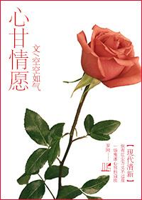 心甘情愿同义词