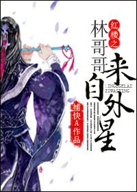 红楼之林家哥哥是摄政王