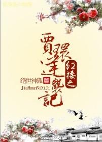 红楼贾环