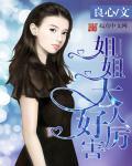 姐姐大人要断了汉化版