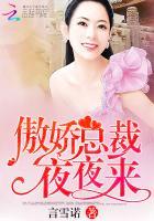 傲娇总裁狂宠妻
