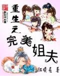 重生之完美姐夫全本免费