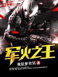 军火之王免费完整版