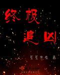 终极追凶电视剧在线观看免费