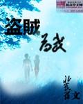 盗贼作用