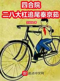 四合院:二八大杠追尾秦京茹