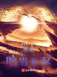 御兽:暗影无双赵云霄